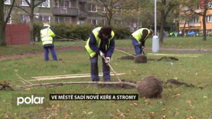 Frýdek-Místek je městem zeleně. Další nové stromy se budou sázet koncem října