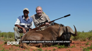 Bude to unikátní podívaná. Lovecký pokoj zámku v Kuníně ozdobí na konci sezóny trofeje z Afriky