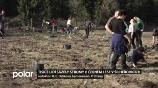 Tisíce dobrovolníků sázely stromy v Šilheřovicích, povedlo se obnovit 3,5 hektaru lesa