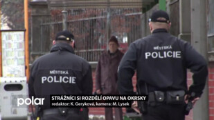 Opavané se v ulicích mohou setkat se „svým“ strážníkem, městská policie se vrací k okrskům