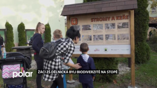 Na stopě biodiverzitě! Žáci z Karviné mají přehled, co ve městě roste a žije