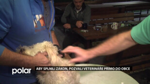 Aby splnili zákon, pozvali v místní části Nového Jičína -Žilině veterináře přímo do obce