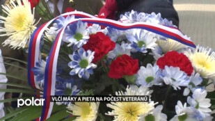 Vlčí máky a pieta. V Novém Jičíně uctili památku veteránů