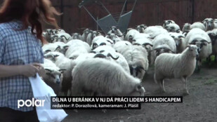 Dílna U beránka v Novém Jičíně dá práci lidem s handicapem