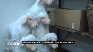 Projekt Bludičky zaměstná lidi s handicapem