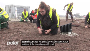 Zahradníci osadili střechu haly sukulenty. Vznikne tak přírodní izolace