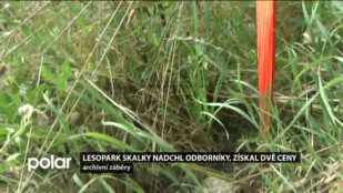 Lesopark Skalky nadchl odborníky, získal dvě ceny