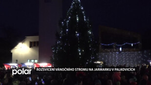 Palkovičtí občané společně rozsvítili strom na vánočním jarmarku