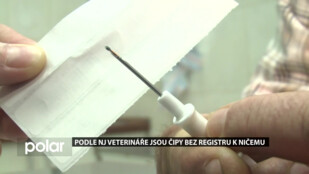 Podle novojičínského veterináře jsou čipy bez centrálního registru k ničemu