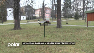 Krmítka nejsou korýtka... Neubližujte ptákům nevhodnou potravou