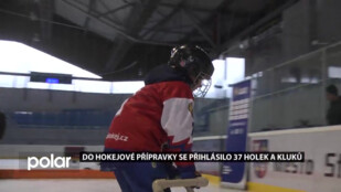 Náborová akce Týden hokeje přivedla na led téměř 40 dětí.
