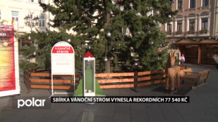 Sbírka Vánoční strom ve F-M vynesla přes 77 tisíc korun. Peníze pomůžou Hospici