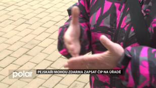 Pejskaři mohou zdarma zapsat čip na úřadě