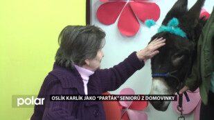 Oslík Karlík jako “parťák” seniorů z novojičínské Domovinky