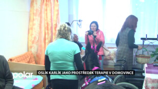 Oslík Karlík jako prostředek terapie v Domovince