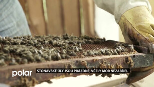 Stonavské úly jsou prázdné, včely mor nezabíjel. Finanční pomoc s obnovou včelstev přislíbila obec