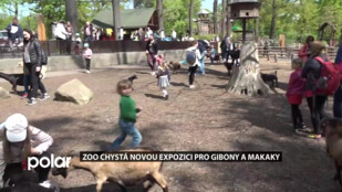 Makakové a giboni se budou mít v Ostravě jako v ráji. Chystá se pro ně nová expozice