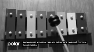 Potulný muzikant z Orlové pomstil rozkopnutý xylofon. Důchodce bohužel na následky pádu zemřel