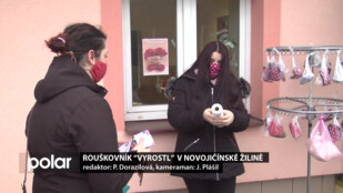 Rouškovník přes noc “vyrostl” v novojičínské Žilině