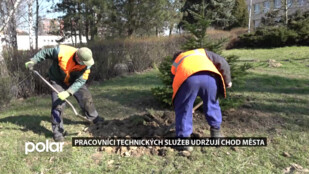 TS Karviná nepřerušily činnost, vyvážejí odpad, opravují chodníky i vysazují nové stromy