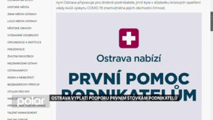 Ostrava vyplatí podporu prvním stovkám podnikatelů. Zároveň bude odložena regulace venkovní reklamy