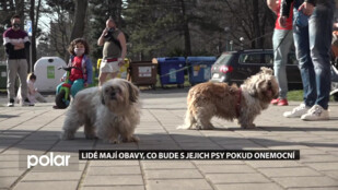 Počet nemocných COVID-19 stoupá. Lidé neví, kdo se jim postará o jejich psy