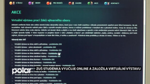 STUDUJ U NÁS: ZUŠ Studénka uspořádala virtuální výstavu