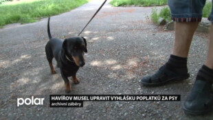 Havířov chtěl ulevit určitým skupinám lidí, kteří platí poplatky za psy. Zákon to však už nedovoluje