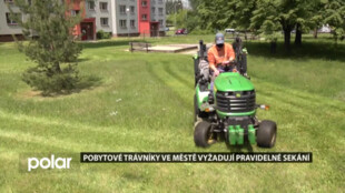 Pobytové trávníky ve městech vyžadují pravidelné sekání, shodují se odborníci