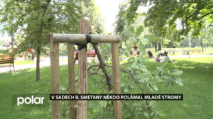 V Sadech Bedřicha Smetany ve Frýdku-Místku někdo polámal nově vysazené stromy