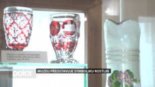 Muzeu Novojičínska představuje symboliku rostlin