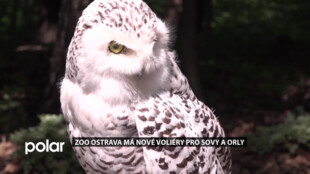 ZOO Ostrava má nové voliéry pro sovy a orly. Ozvláštnily botanickou stezku Cesta vody