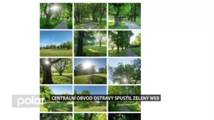 Zelený web mapuje veškeré informace o zeleni v centru Ostravy. Včetně její údržby