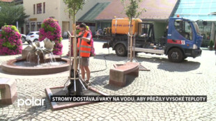 Stromy ve Frýdku-Místku dostávají vaky na vodu, aby přežily vysoké teploty