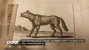 Acta Mythologica v muzeu rozeberou mýty o vlkodlacích