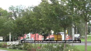 Ve Stonavě začala druhá etapa obnovy zeleně v obci