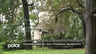 Wzgórze Zamkowe i jego stonawska ciekawostka