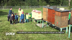 Děti havířovských mateřských škol se mohou zblízka seznámit s životem včel