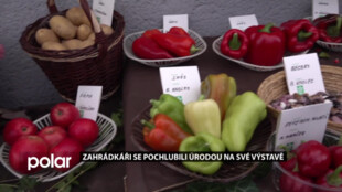 Zahrádkáři z Karvinska se pochlubili úrodou na své tradiční výstavě