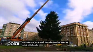 Ostrava-Poruba hledá ozdobu letošních Vánoc, reprezentativní vánoční strom