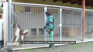 Útulek v Havířově se stal terčem pomluv. Zařízení se možná obrátí na policii