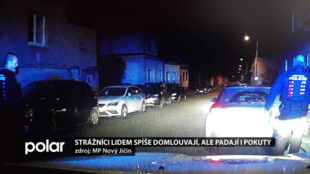 Strážníci lidem spíše domlouvají, když to nepomůže,  udělí pokuty