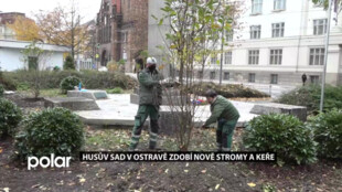 V Husově sadu v Ostravě revitalizují zeleň. Zborovský památník je teď vidět ze všech stran