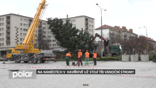 V Havířově už stojí tři vánoční stromy. Kvůli koronaviru však nebude vánoční městečko ani slavnostní rozsvícení