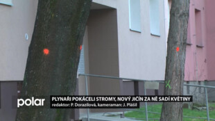 Plynaři pokáceli stromy, Nový Jičín za ně sadí květiny