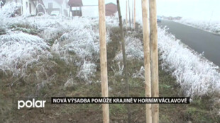 V Horním Václavově přibylo 125 nových stromů, pomůžou retenci vody i biodiverzitě