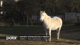 Jarošův statek ve Studénce opět vozí na ponících