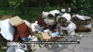 Veřejně prospěšní pracovníci se pustili do svozu vánočních stromků