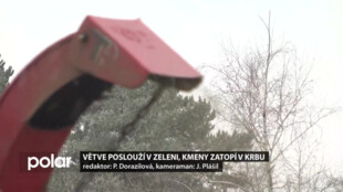 Vánoční stromky poslouží v městské zeleni, další pokácené dřeviny zatopí v krbu