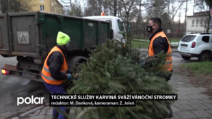 Svoz vánoční stromků začal v Karviné na začátku ledna. Na kompostárnu se odveze až 10 tun